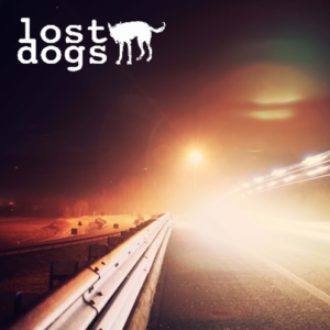 lost dogs